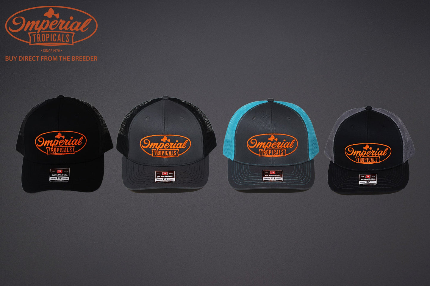 Gray with Turquoise Mesh and Orange Logo Imperial Tropicals Snapback Hat